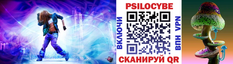 купить закладку  OMG tor  Псилоцибиновые грибы Magic Shrooms  Полярные Зори 