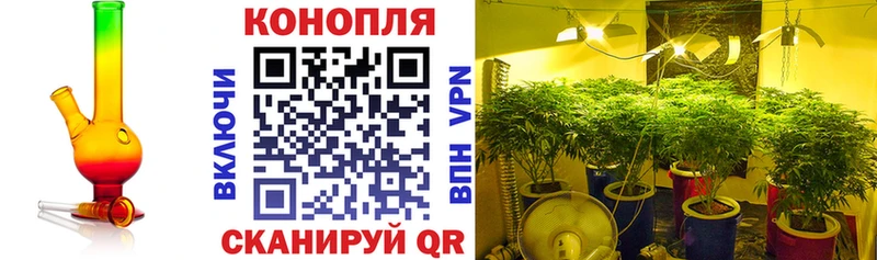 Конопля тримм  наркота  Полярные Зори 